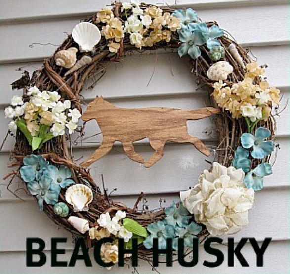 BEACH HUSKY
